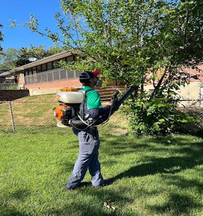 Images Teacher's Spraying Service