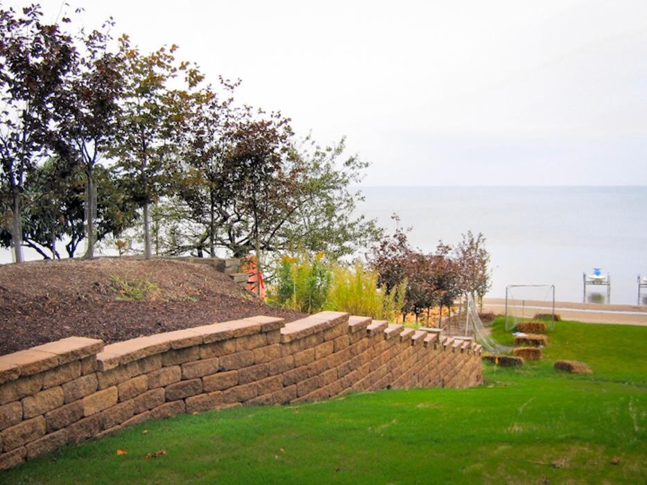 Images Birchcrest Tree & Landscape