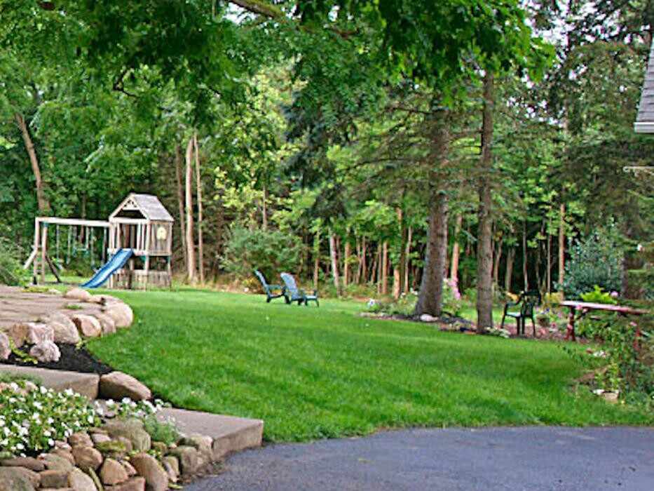 Images Birchcrest Tree & Landscape