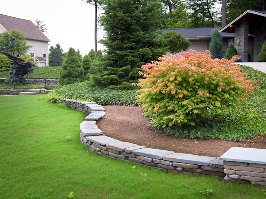 Images Birchcrest Tree & Landscape