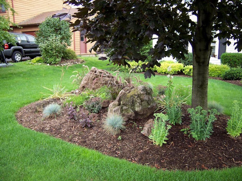 Images Birchcrest Tree & Landscape