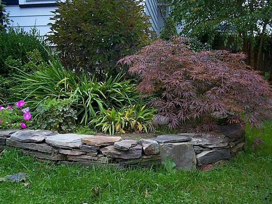 Images Birchcrest Tree & Landscape