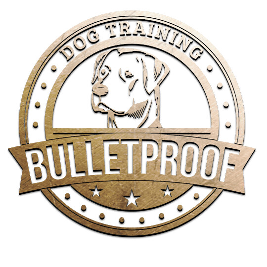 Bulletproof Dog Training Logo