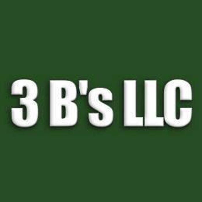 Images 3 B's LLC