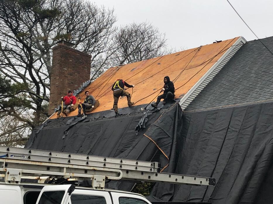 Images Mighty Dog Roofing