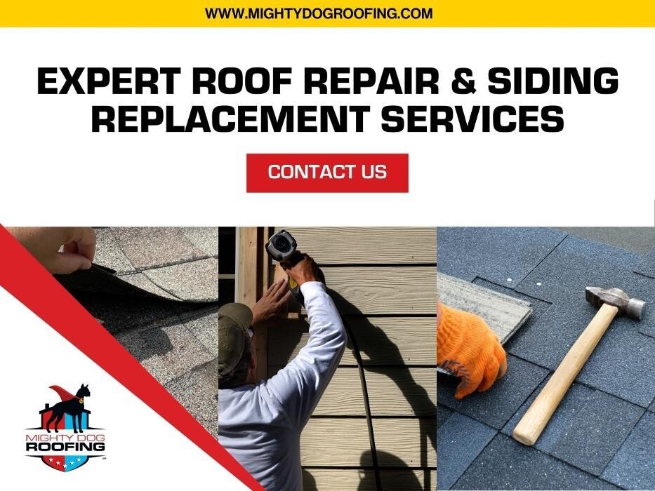Images Mighty Dog Roofing