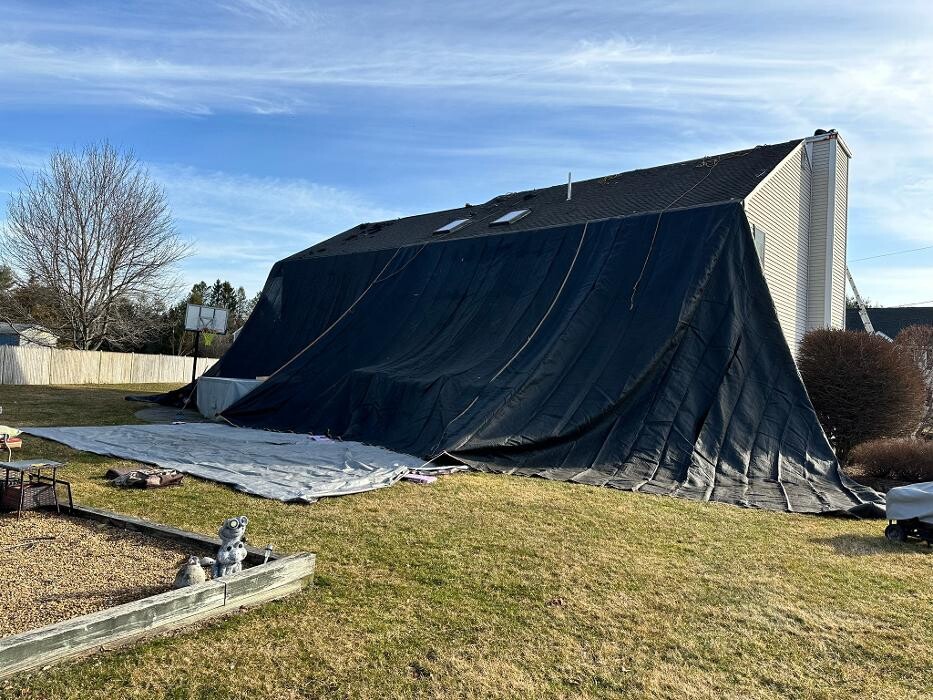 Images Mighty Dog Roofing