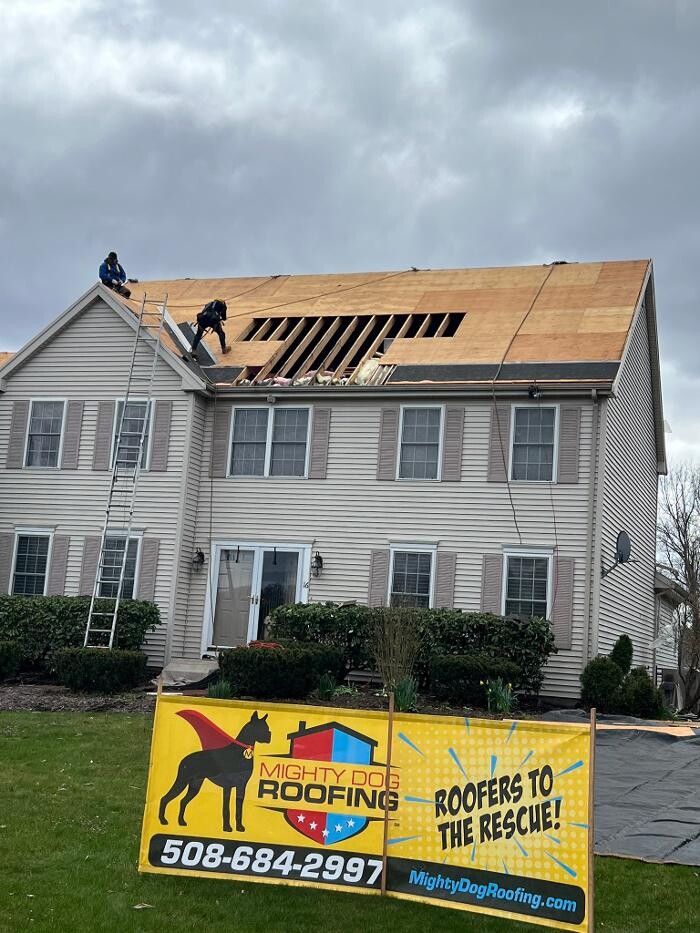 Images Mighty Dog Roofing