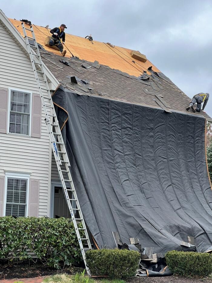 Images Mighty Dog Roofing