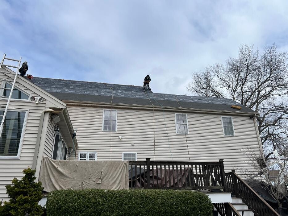 Images Mighty Dog Roofing