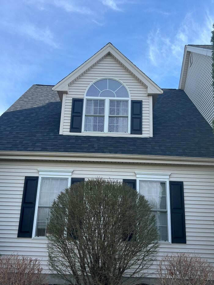 Images Mighty Dog Roofing