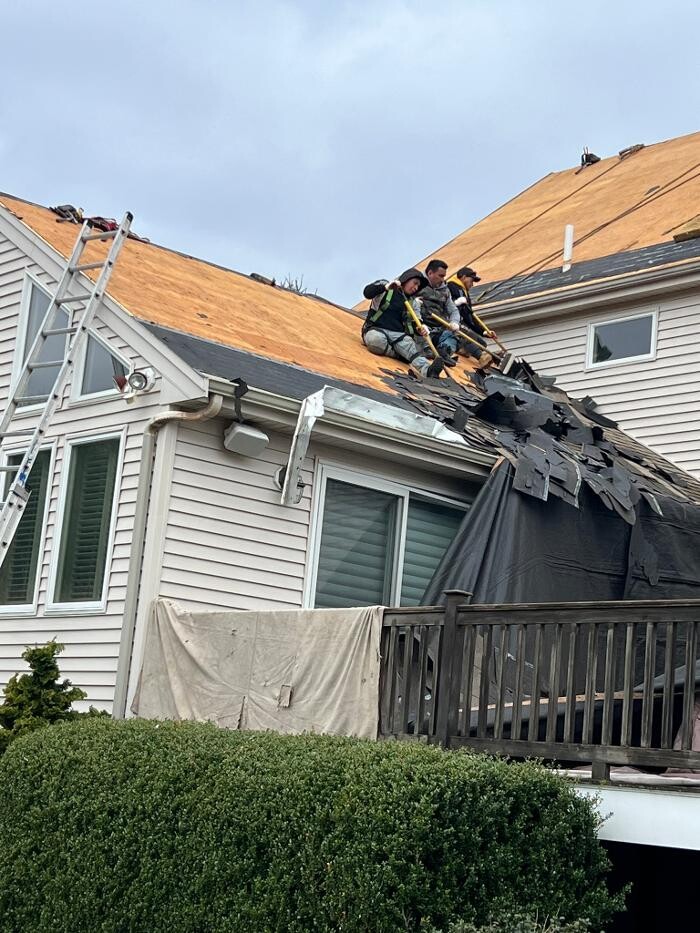 Images Mighty Dog Roofing