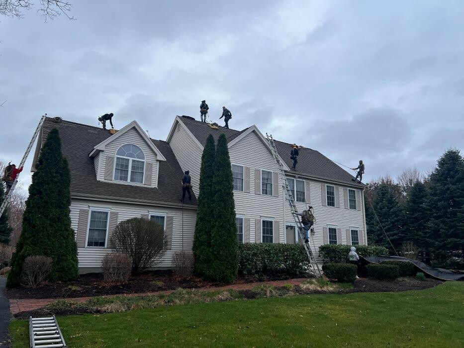 Images Mighty Dog Roofing