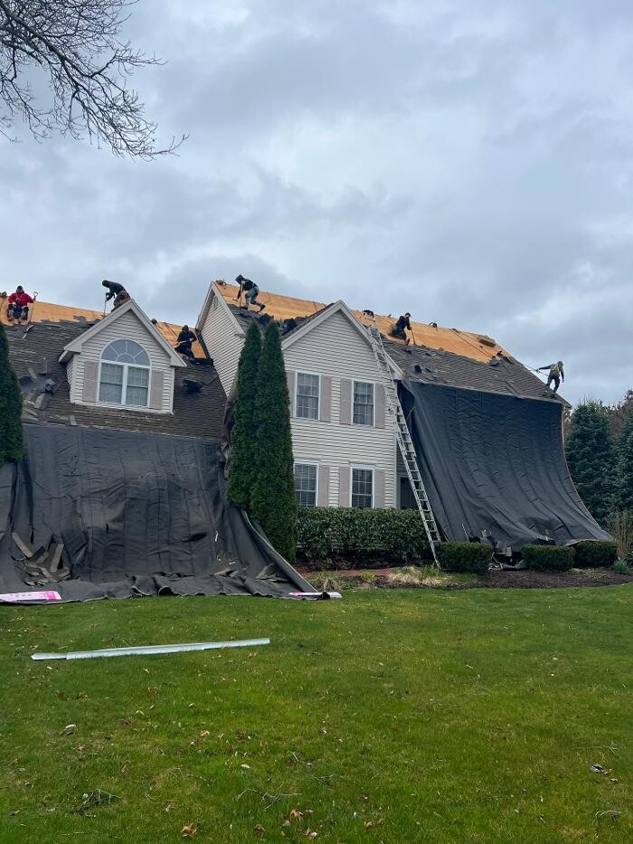 Images Mighty Dog Roofing