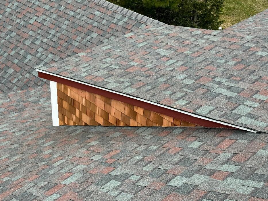 Images Mighty Dog Roofing