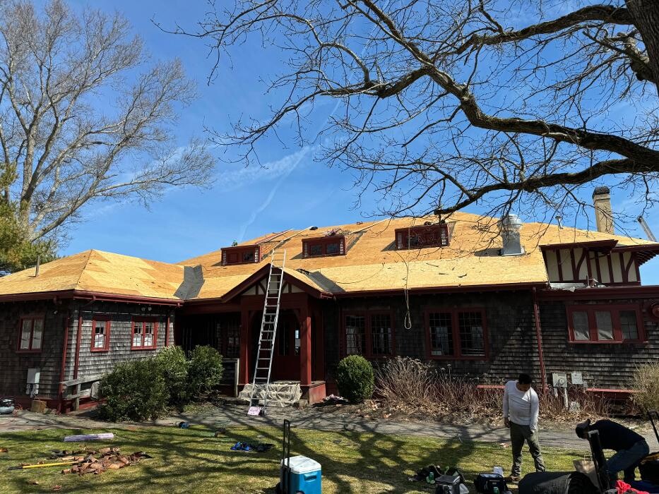 Images Mighty Dog Roofing