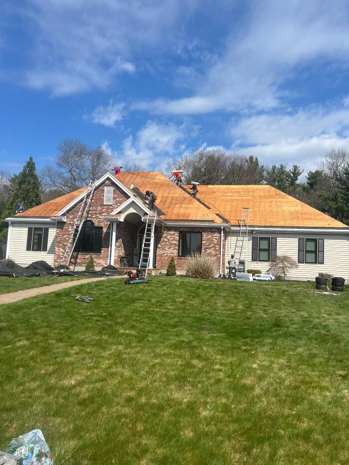 Images Mighty Dog Roofing