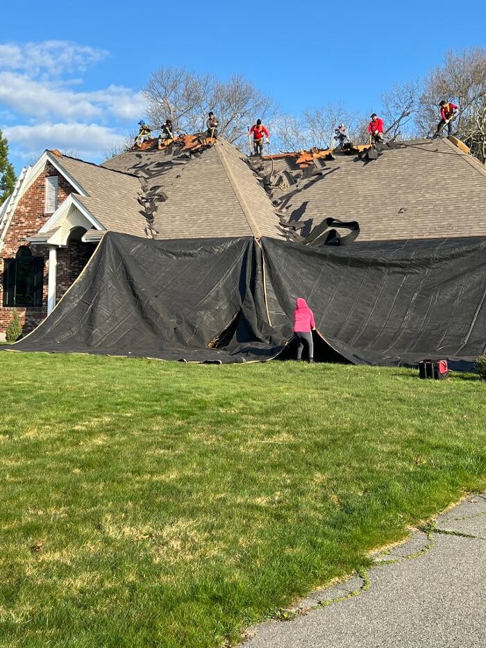 Images Mighty Dog Roofing