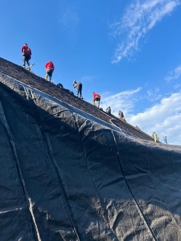 Images Mighty Dog Roofing