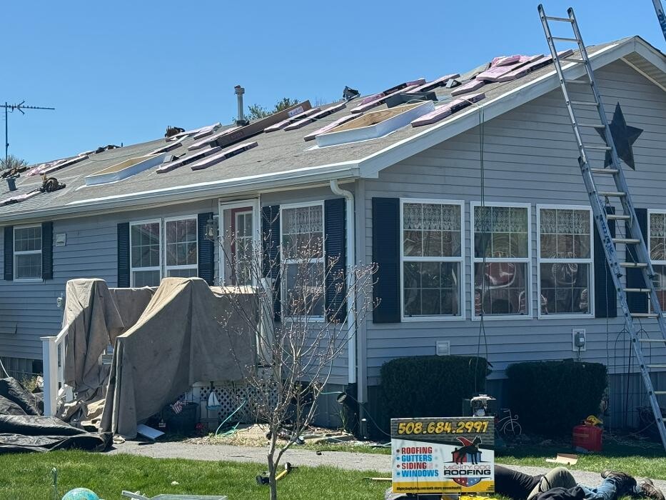 Images Mighty Dog Roofing