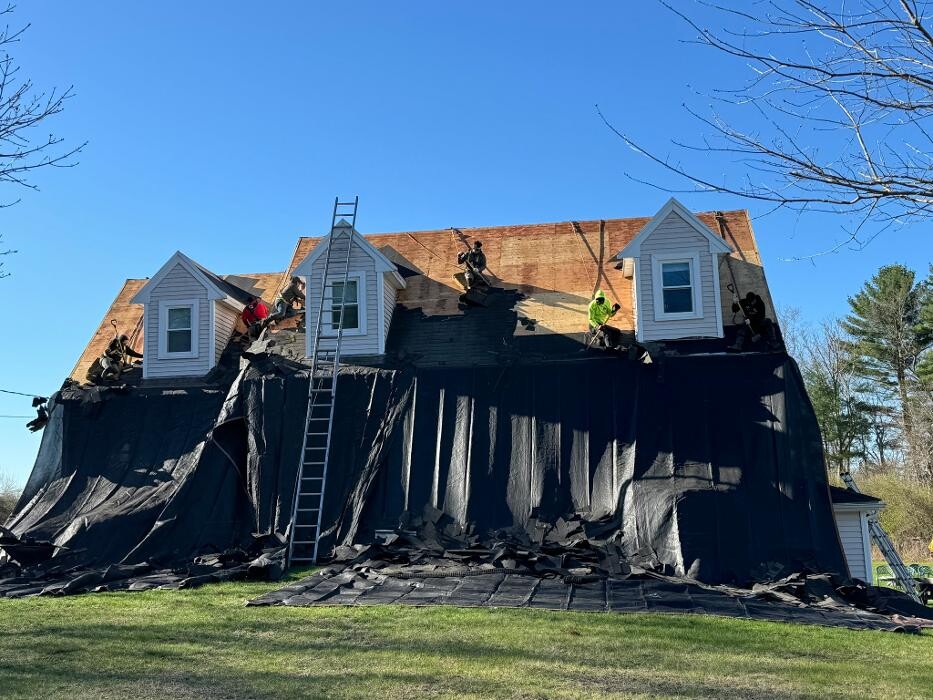 Images Mighty Dog Roofing