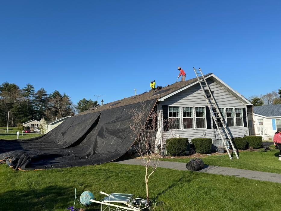 Images Mighty Dog Roofing