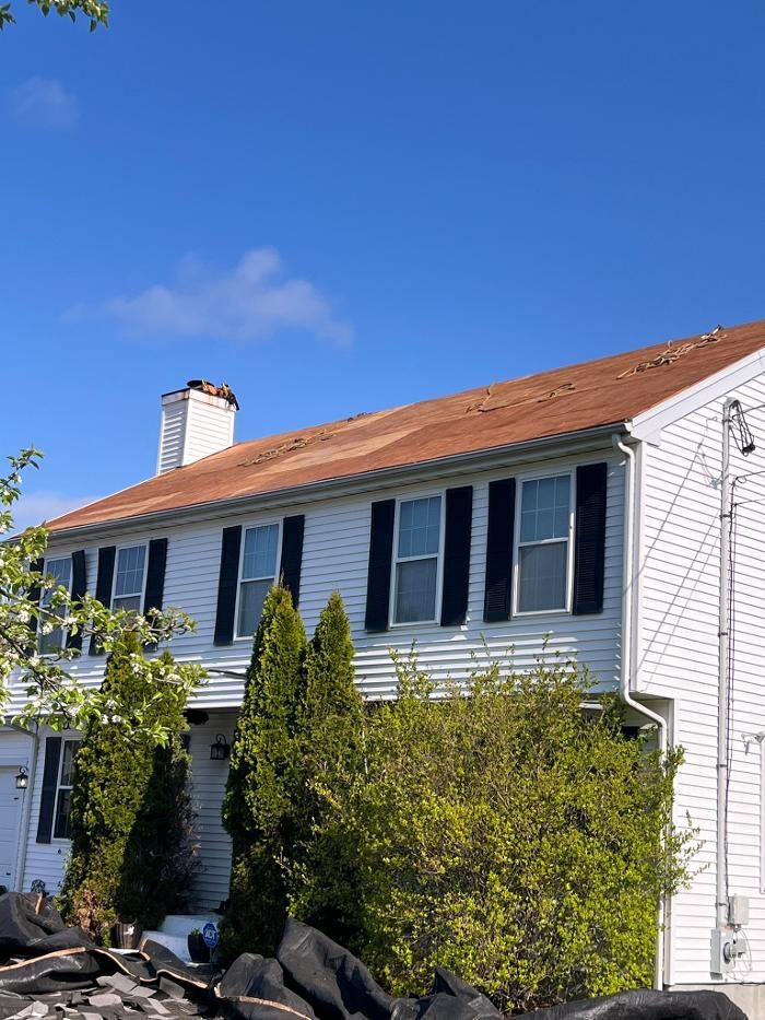 Images Mighty Dog Roofing