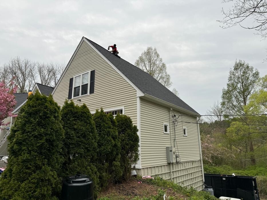 Images Mighty Dog Roofing