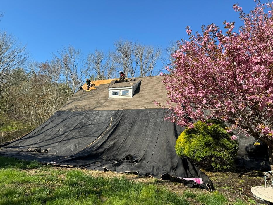 Images Mighty Dog Roofing