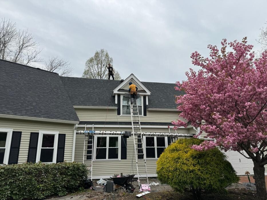 Images Mighty Dog Roofing