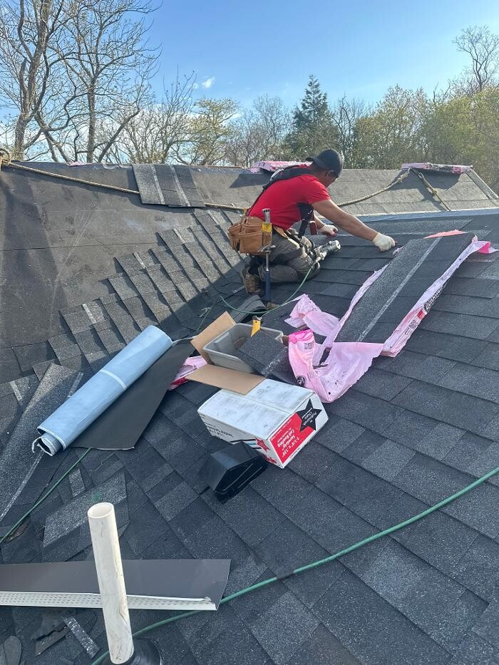 Images Mighty Dog Roofing