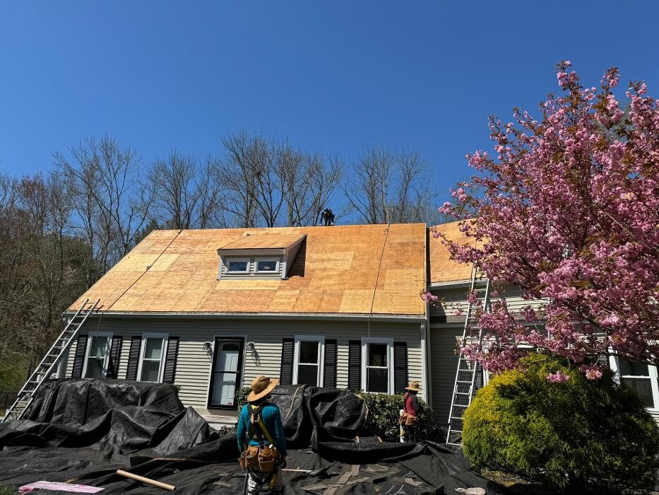 Images Mighty Dog Roofing