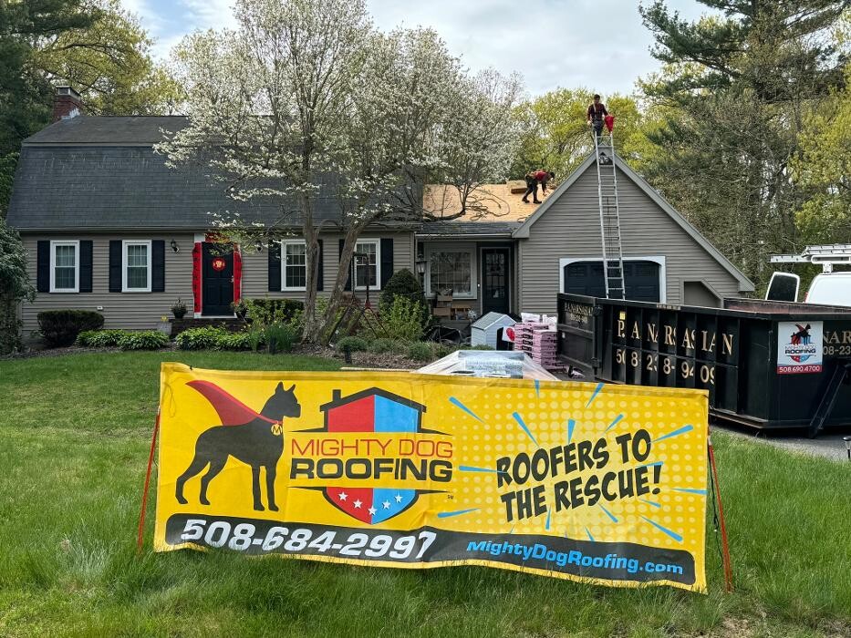 Images Mighty Dog Roofing