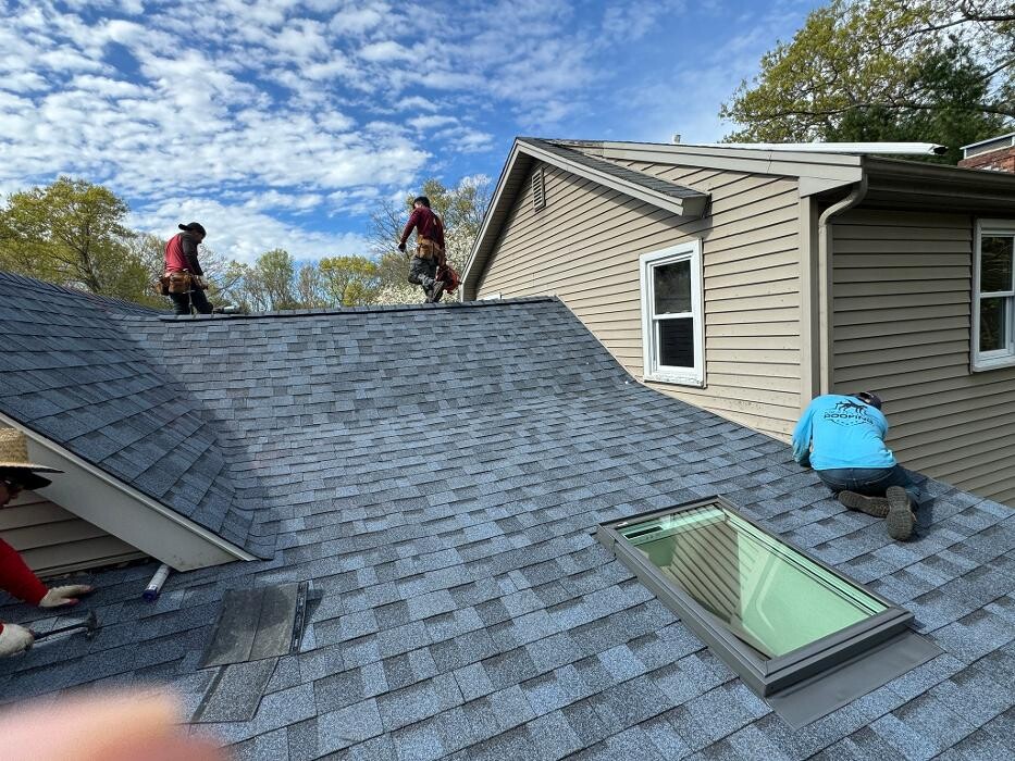 Images Mighty Dog Roofing