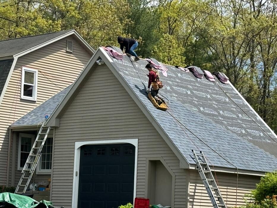 Images Mighty Dog Roofing