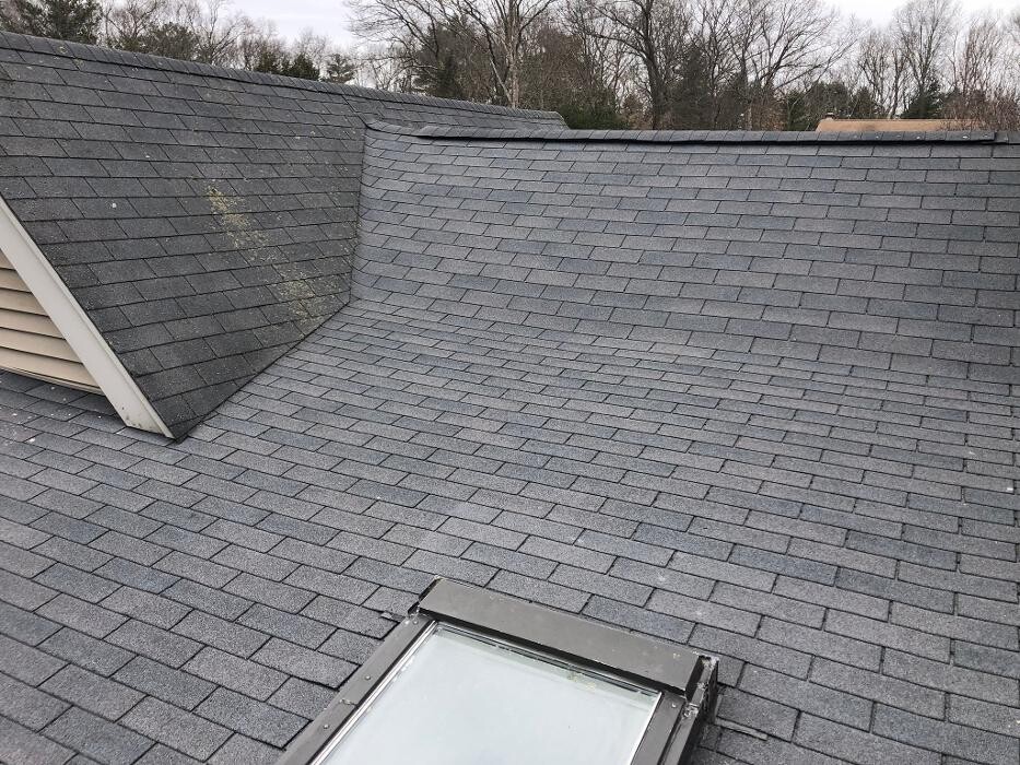 Images Mighty Dog Roofing