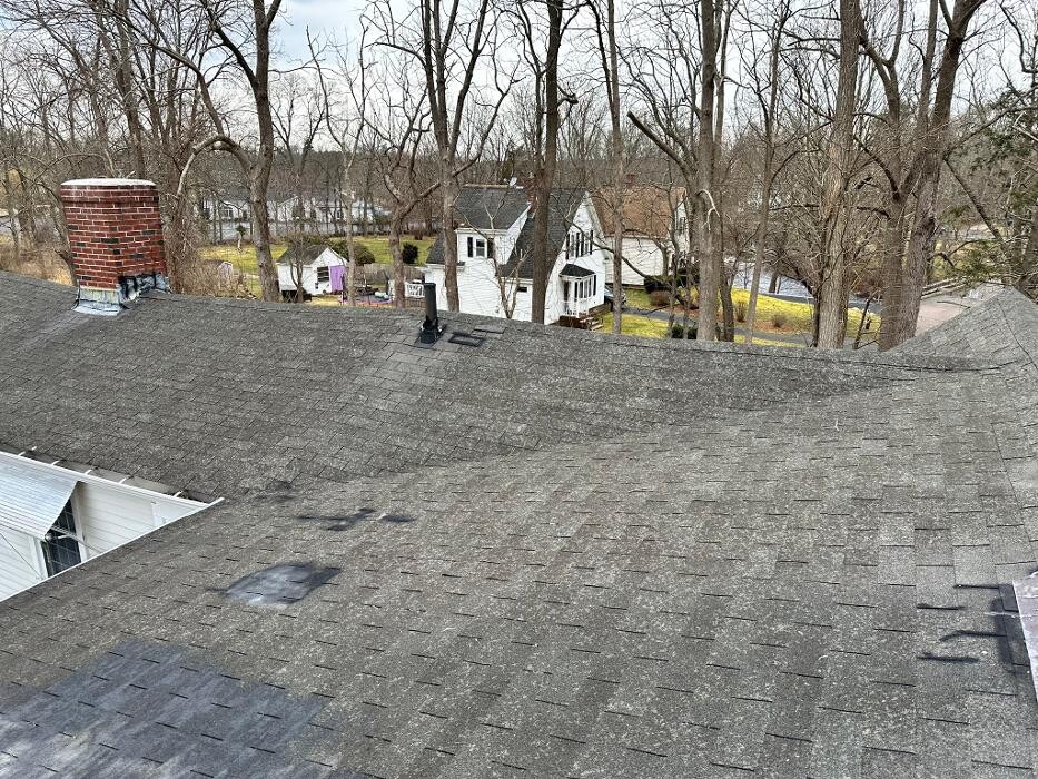 Images Mighty Dog Roofing