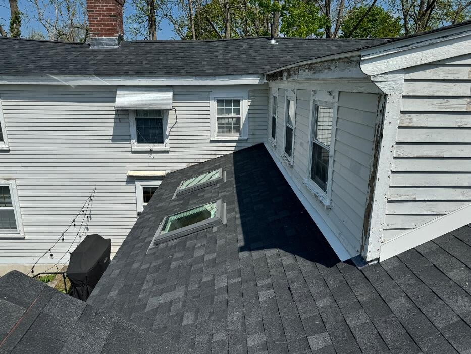 Images Mighty Dog Roofing
