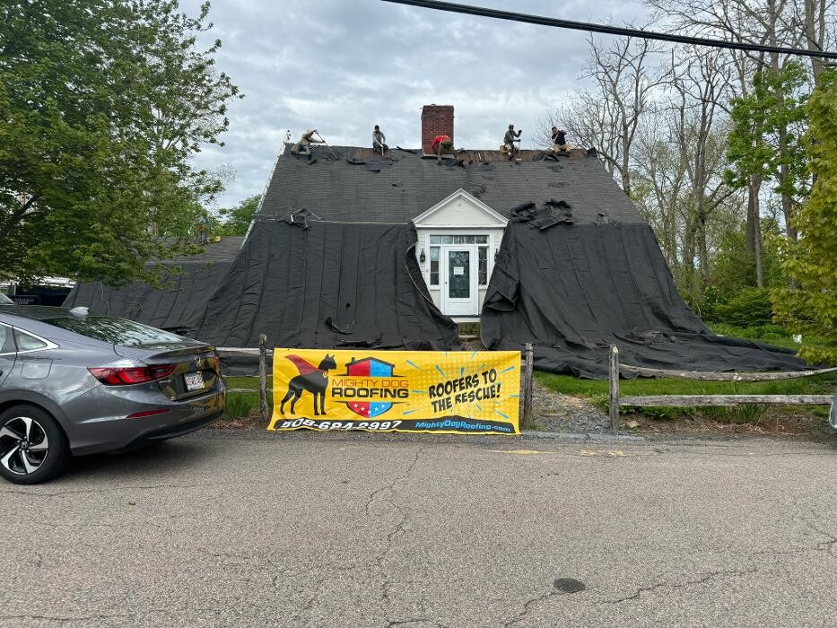 Images Mighty Dog Roofing