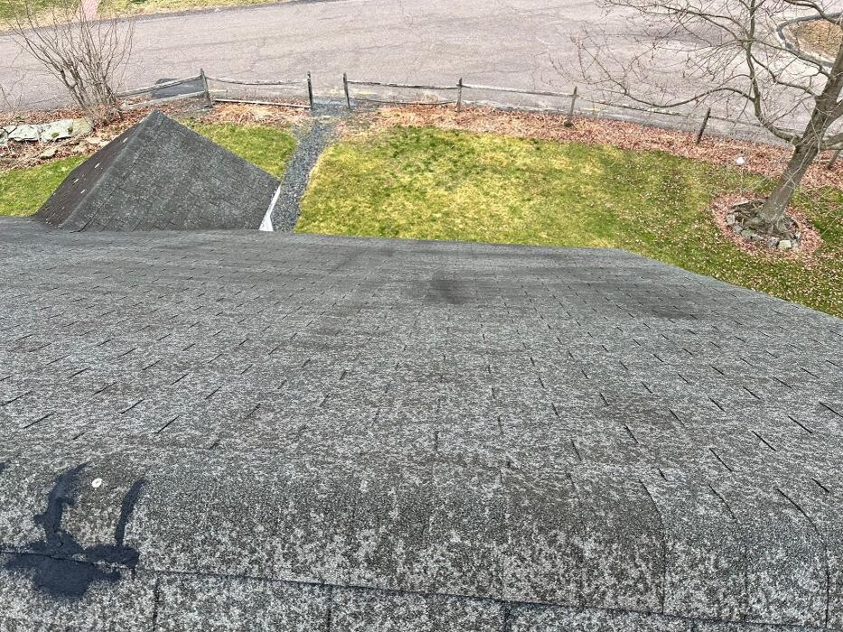 Images Mighty Dog Roofing