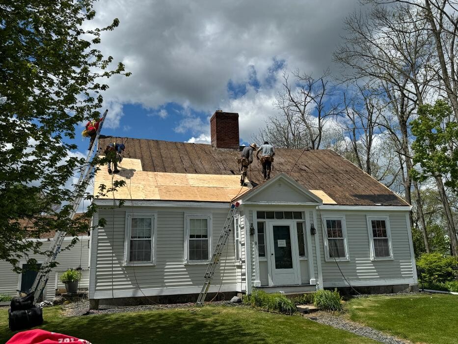 Images Mighty Dog Roofing