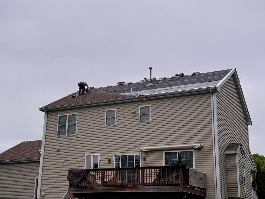 Images Mighty Dog Roofing