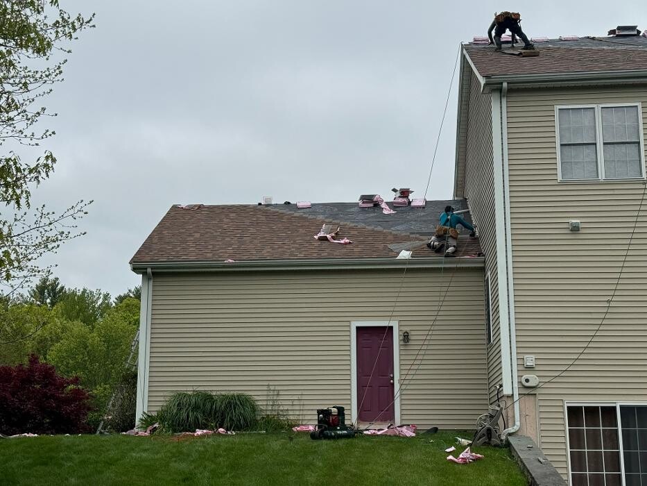 Images Mighty Dog Roofing