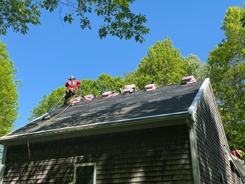 Images Mighty Dog Roofing