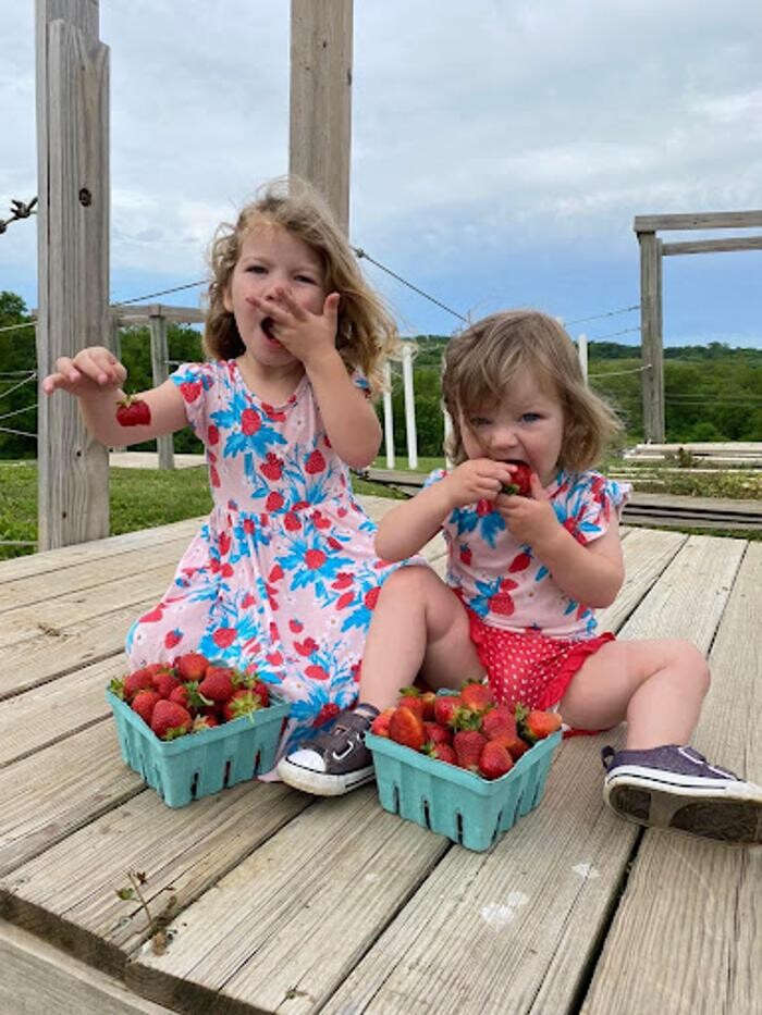 Images Historic Weston Orchard & Vineyard