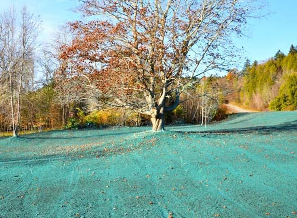 Images John Downing Excavating, Inc.