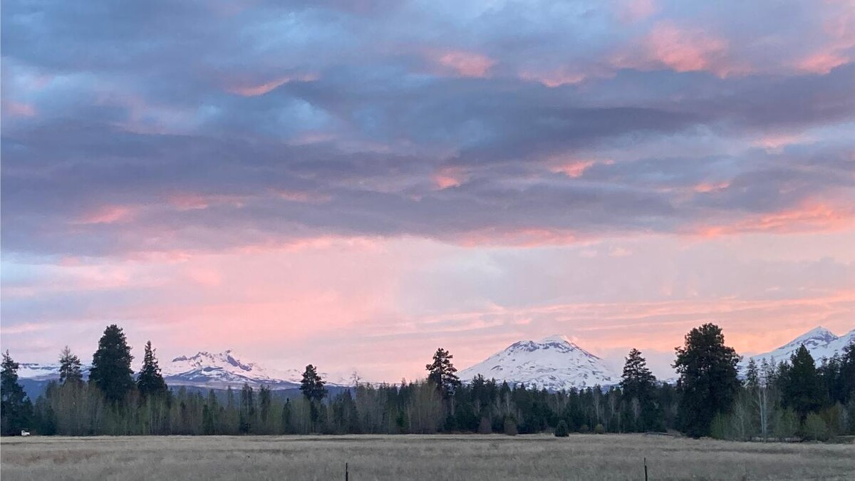 Images ParsonsHosting, Inc.