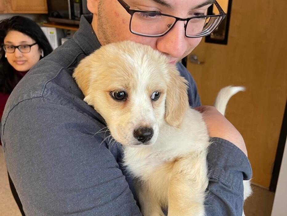 Images Faw Casson CPA