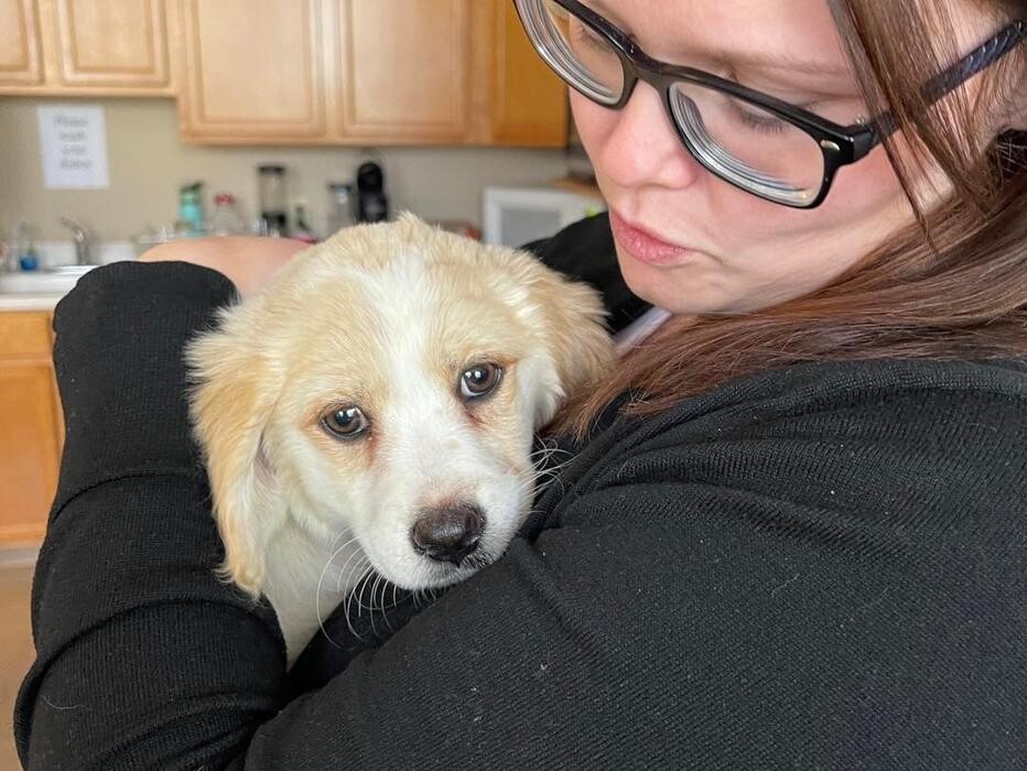 Images Faw Casson CPA