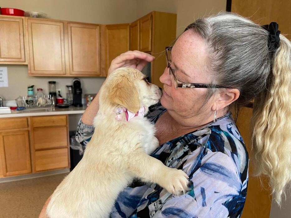 Images Faw Casson CPA